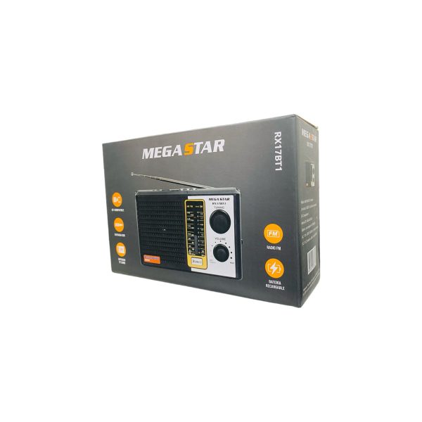 RADIO PORTATIL 3 BANDAS BLUETOOTH MEGA STAR